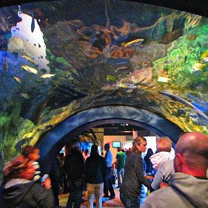 Mar. 2013-Caribbean Cove Tunnel