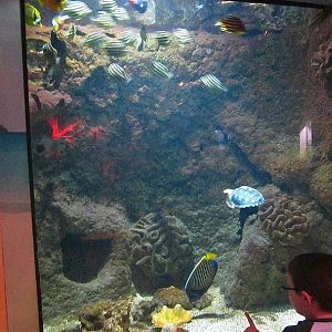 Mar. 2013-Shore Gallery - Flooded Crater