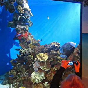 Mar. 2013-Shore Gallery - Grass Bed