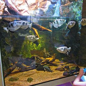 Mar. 2013-Shore Gallery - River Delta