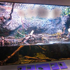 Mar. 2013-Shore Gallery - Salt Marsh