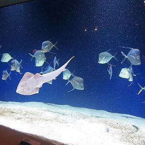 Mar. 2013-Shore Gallery - Sand Flats