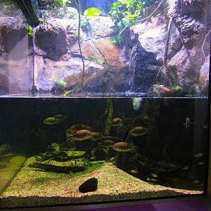 Mar. 2013-Shore Gallery - Tidal River