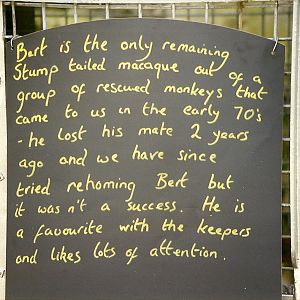 Information board 9th May 1998