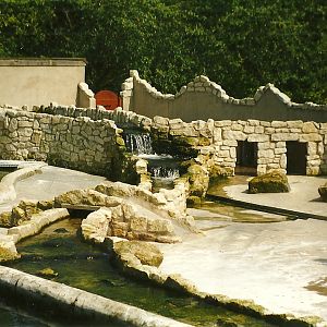 New for 1998 - Penguin Pool 9th May 1998