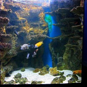 Mar. 2013-Dangerous and Deadly Exhibit