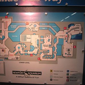 Mar. 2013-Aquarium Map
