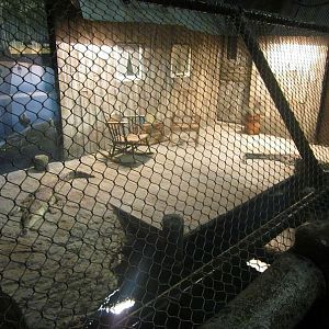 Mar. 2013-Gator Alley - Orinoco Crocodile Exhibit- Right Side