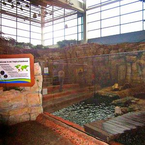 Mar. 2013-Hidden Treasures of the Rainforest Islands