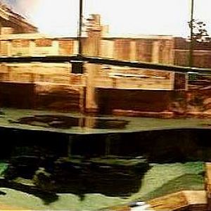 Mar. 2013-Gator Alley - Mighty Mike's Exhibit