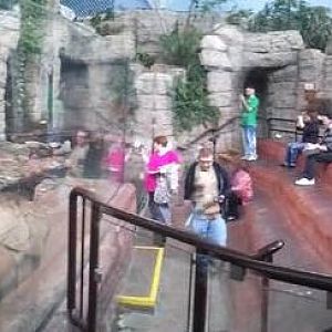 Mar. 2013-Hidden Treasures of the Rainforest Islands - Asian Small-clawed O