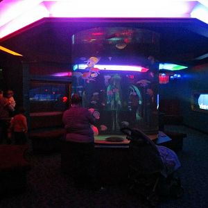 Mar. 2013-Jellyfish Gallery