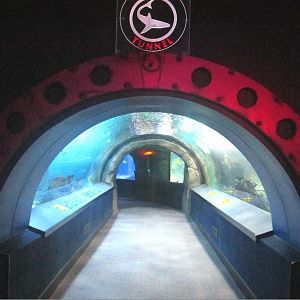 Mar. 2013-Surrounded by Sharks - Entrance