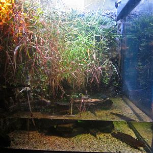 Mar. 2013-Worlds Rivers - The Moving Mississippi