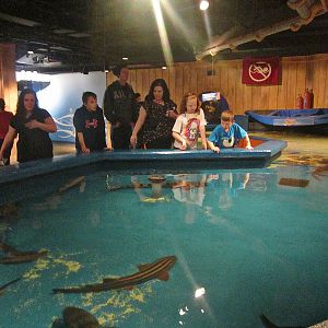 Mar. 2013-Shark Central