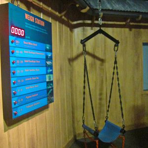 Mar. 2013-Shark Central - Shark/Human Weight Station