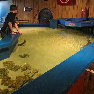 Mar. 2013-Shark Central