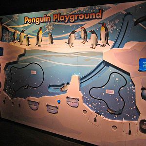 Mar. 2013-Penguin Palooza - Penguin Playground