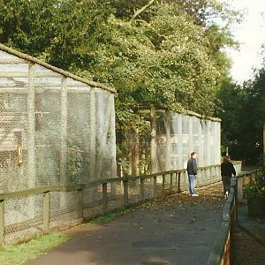 Bird Walk 10th October 1998