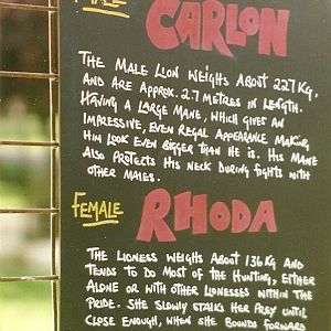 Information Board 10th October 1998