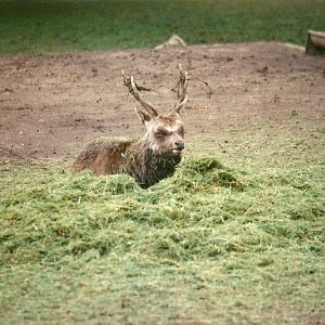 Mr Smith 10th October 1998