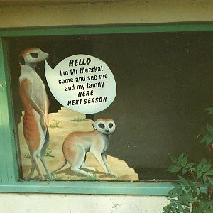 Coming to the redeveloped Cat Cages.... 10th October 1998