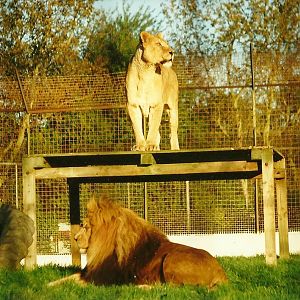 Rhoda and Carlon 10th October 1998