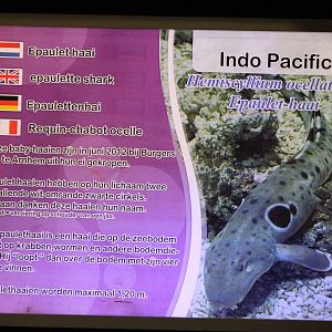 another example of sign at Het Arsenaal