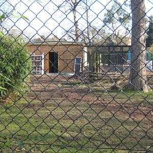 View of the building of the new off-show Lorikeet breeding centre