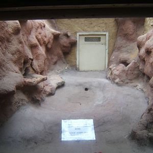 Showing a part finished re-furb in the Reptile House