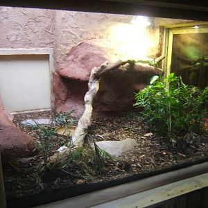 Showing a finished re-furb in the Reptile House