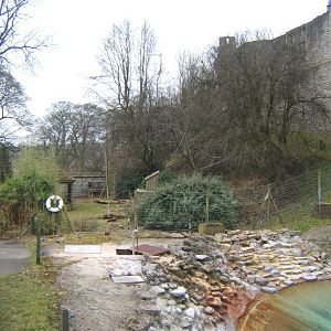View of the Lar Gibbon enclosure