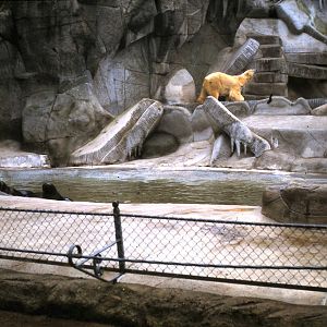 old polarium exhibit