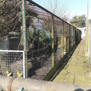 large " nature-aviary "