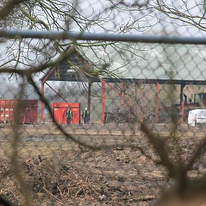 preperation work for Islands Chester Zoo 2013