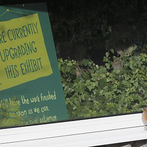 Will it be ready for the nesting season?