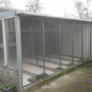 aviaries for smaller songbirds and quails
