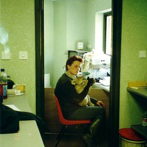 Hand-reared Asiatic lion cub, 13 April, 2000