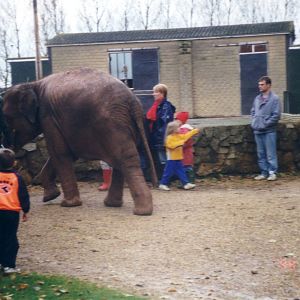 Walking Noorjahan, October 1999