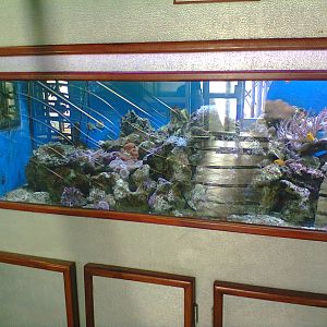 East London Aquarium