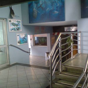 East London Aquarium