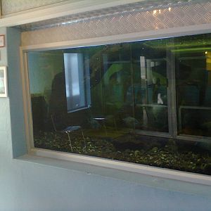 East London Aquarium