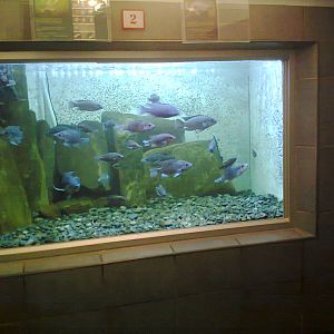 East London Aquarium