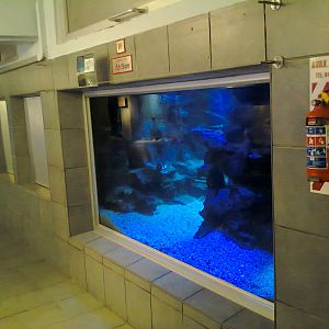 East London Aquarium