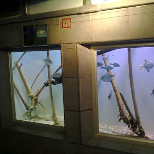 East London Aquarium