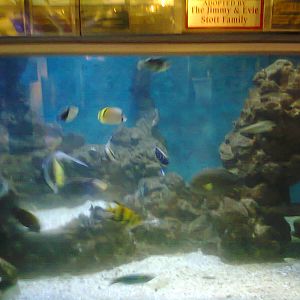 East London Aquarium