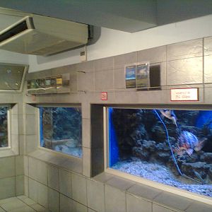 East London Aquarium