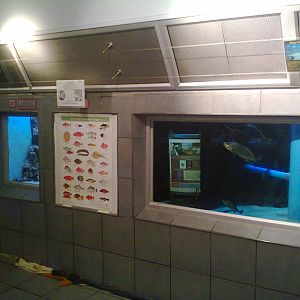 East London Aquarium