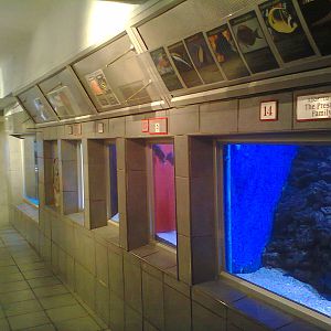 East London Aquarium