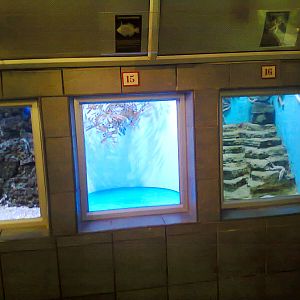 East London Aquarium